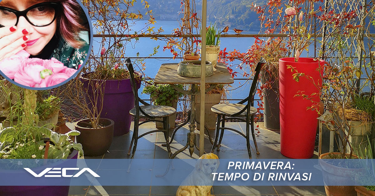 primavera tempo di rinvasi