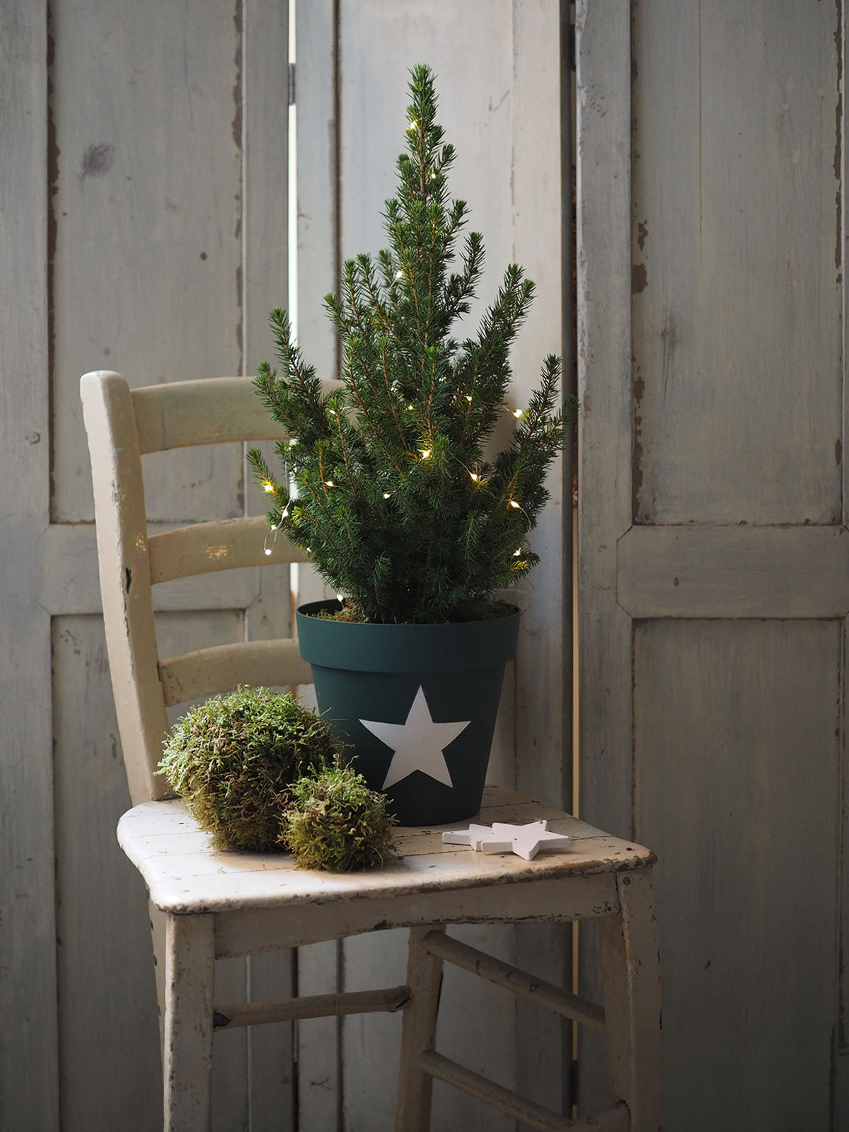 albero di natale in vaso