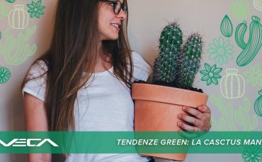 Cactus in vaso: come prendersene cura