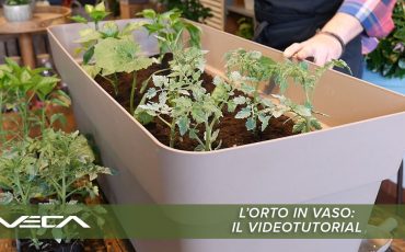 L’orto in vaso: il videotutorial