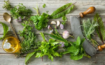 Breve guida alle erbe aromatiche che si possono coltivare in inverno