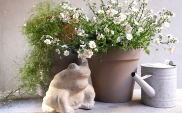DECORATING YOUR TERRACE WITH THE CLEO LINE