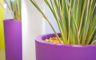 Plant pot gardening: how to choose the best shapes and materials