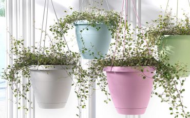 Gardening in small spaces: the benefits of hanging gardens