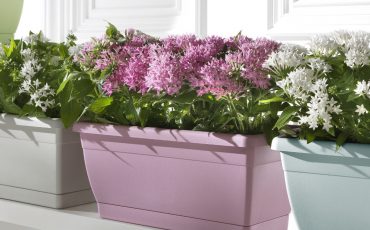 PASTEL POTS FOR THE GARDEN