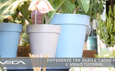 Vaso o cache-pot: qual è la differenza?