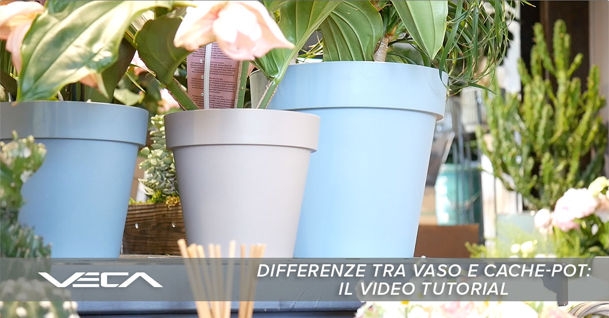 differenza tra vaso e cache-pot